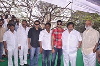 Bellamkonda Suresh Son New Movie Opening